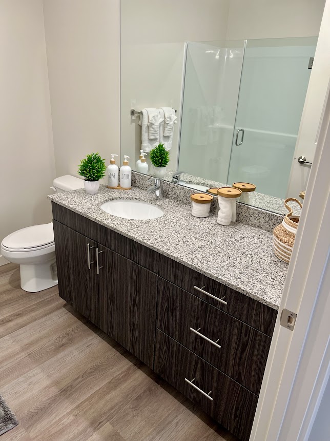 image of bathroom counter and toilet